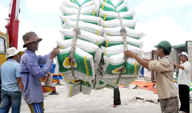 Le marché de l’Europe du Nord prometteur pour le riz vietnamien